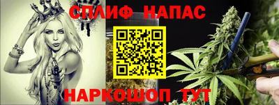 2c-b Камышлов