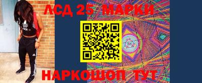 2c-b Камышлов