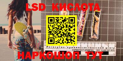 2c-b Камышлов