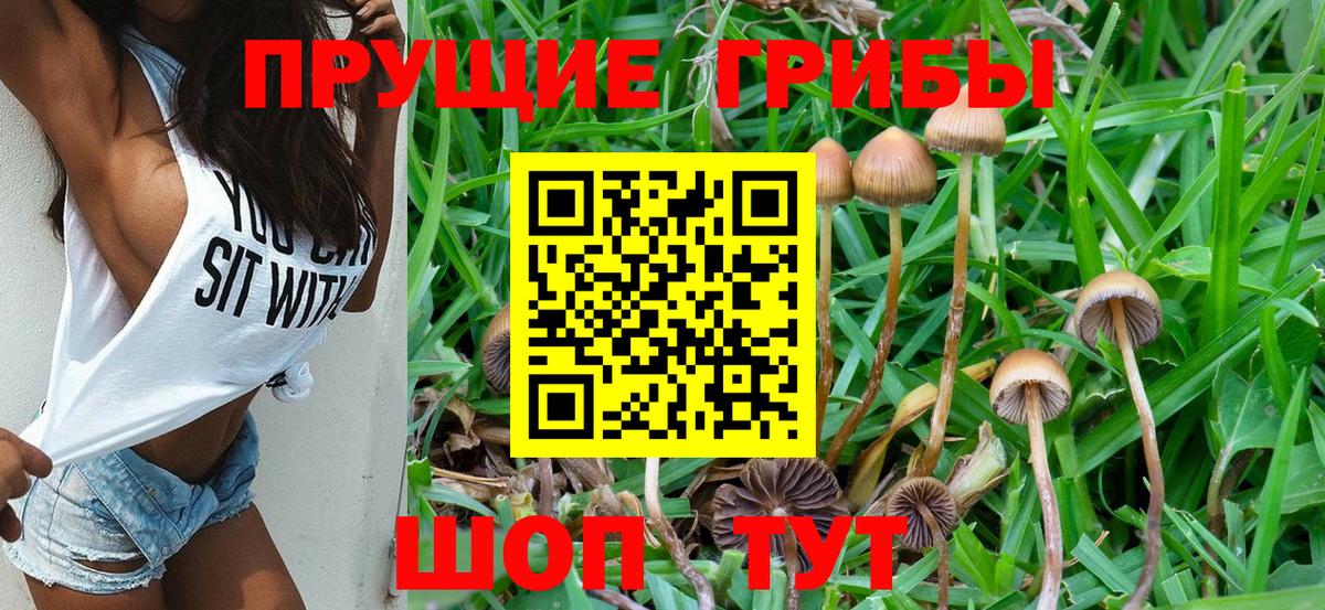 Галлюциногенные грибы GOLDEN TEACHER Ефремов