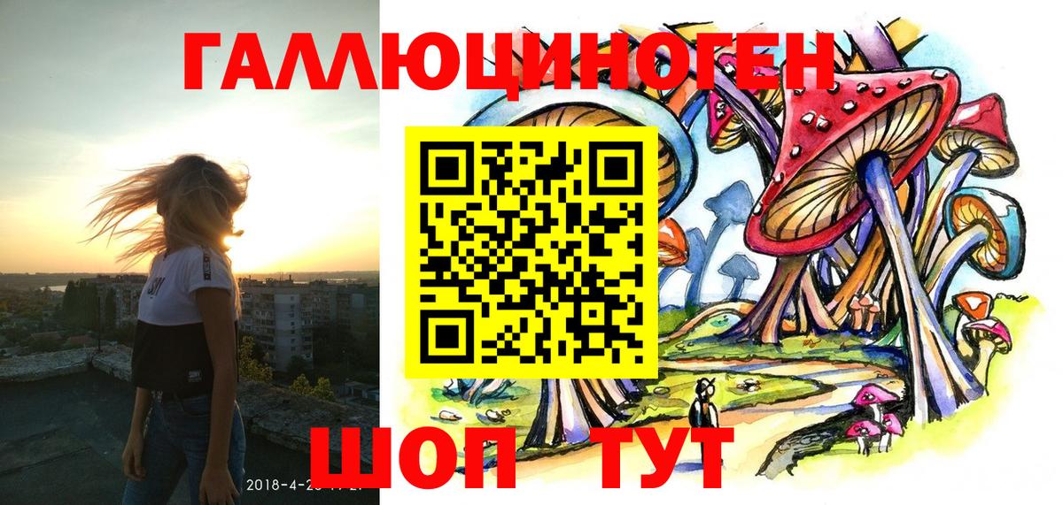 Галлюциногенные грибы Psilocybine cubensis  Вход с VPN  Ефремов 