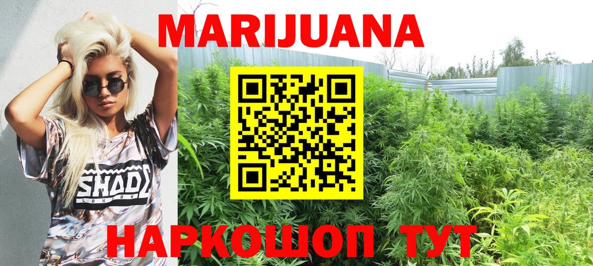 Конопля Bruce Banner  Вход с VPN  Марихуана White Widow  Ефремов 