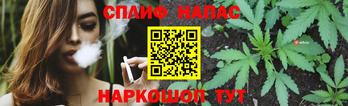 Бошки Шишки THC 21% Ефремов